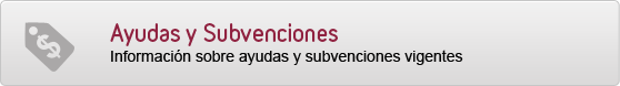 Accede a la informaci�n de ayudas y subvenciones vigentes